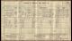 1911 Census image